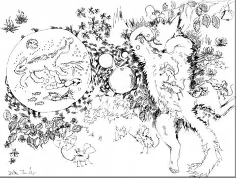 Katze mit Mäusen, Waldmaus und Fledermaus, Geschichte, Erzählung